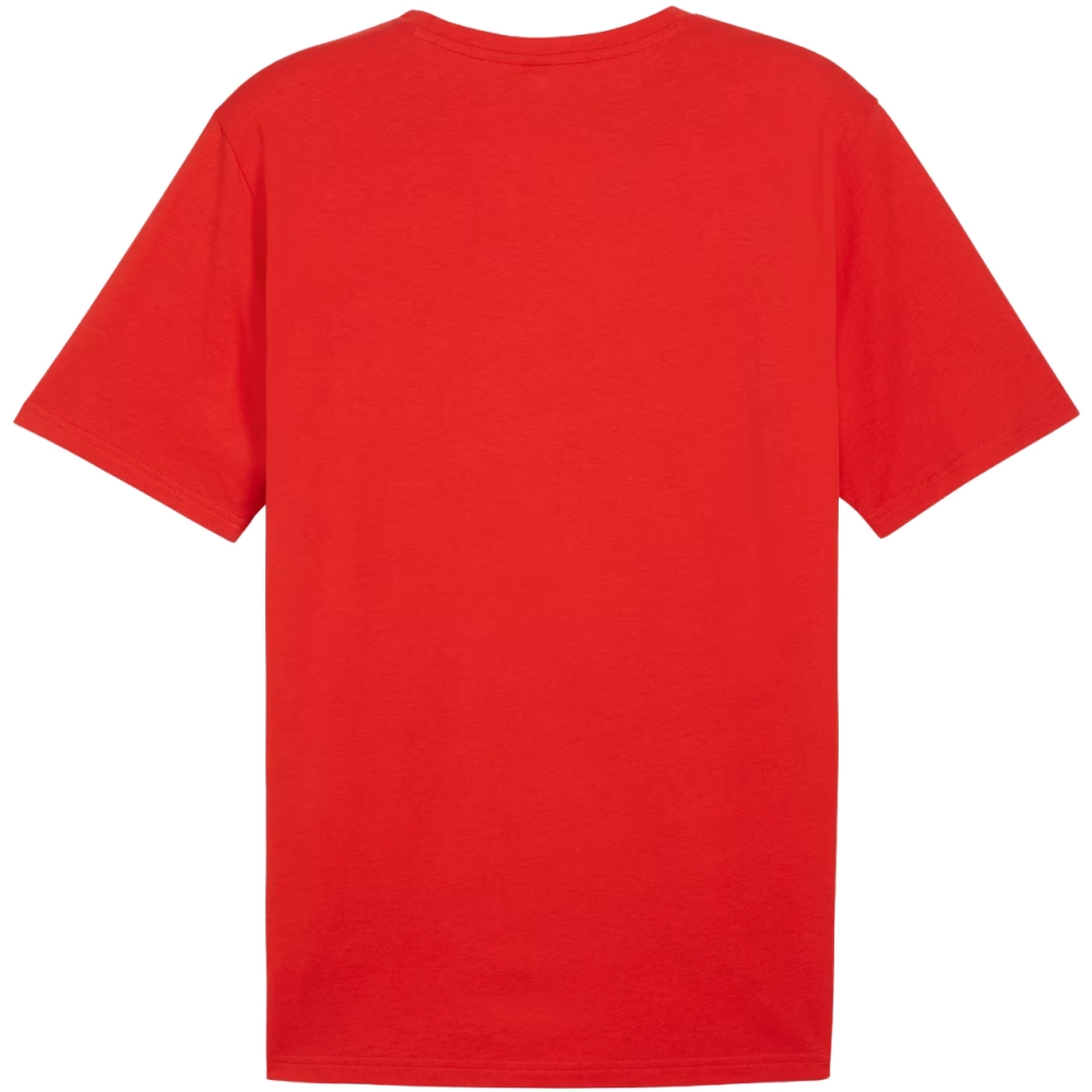 Men's T-shirt Puma Team Rise Logo Jersey Cotton red 658705 01