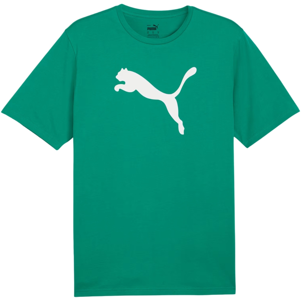 Men's T-shirt Puma Team Rise Logo Jersey Cotton green 658705 05