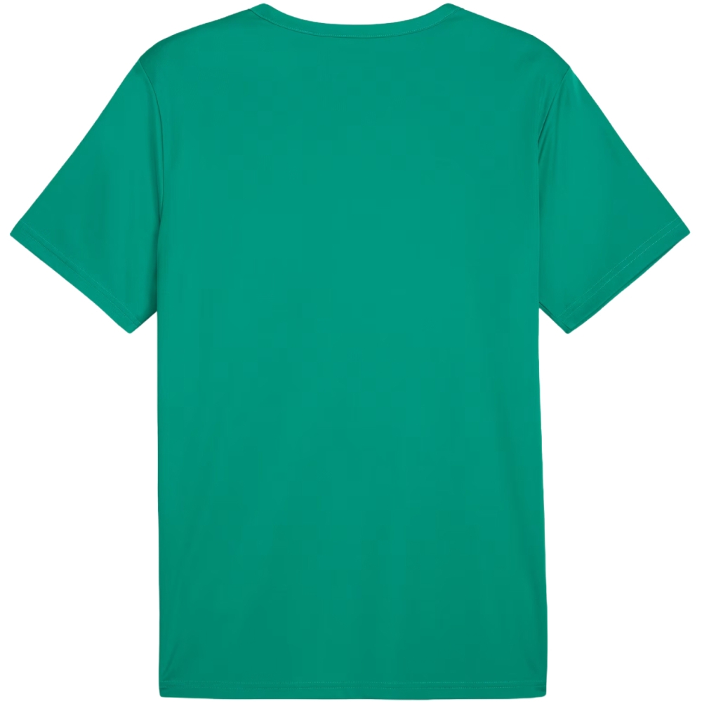Men's T-shirt Puma teamRISE Matchday Jersey green 706132 05