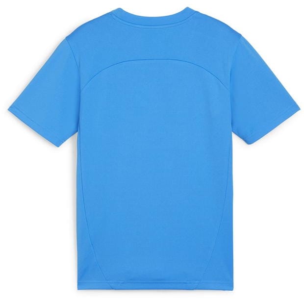 Puma Teamfinal Training Jersey Jr T-Shirt Boys