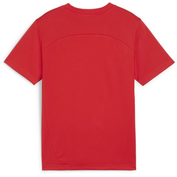 Puma Teamfinal Training Jersey Jr T-Shirt Boys