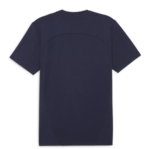 Puma Teamfinal Training Jersey T-Shirt Mens
