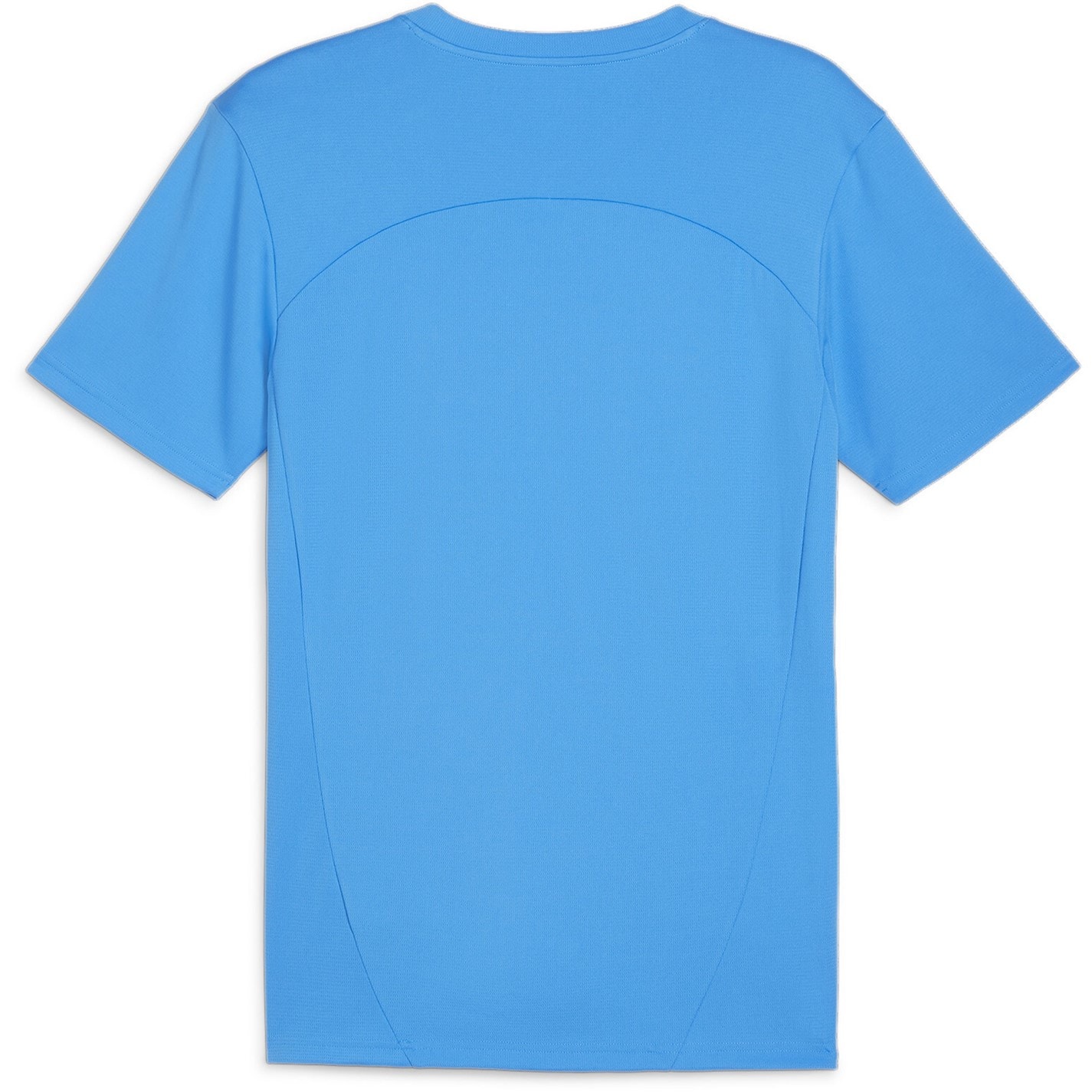 Puma Teamfinal Training Jersey T-Shirt Mens